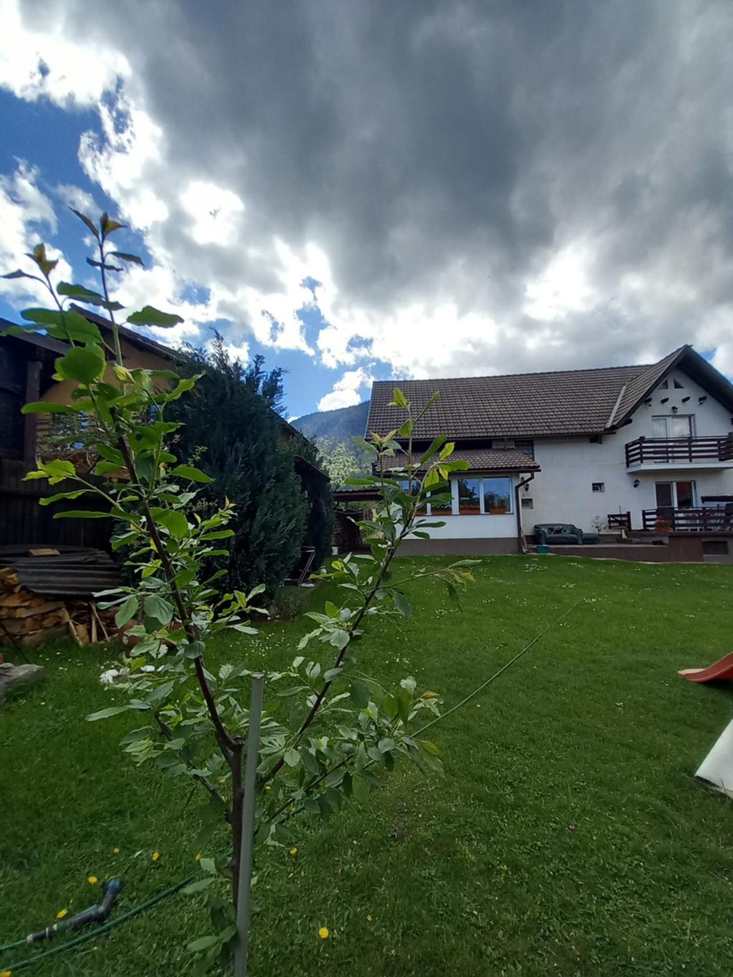 Apartmán Edelweiss Ilinca Zărneşti Exteriér fotografie